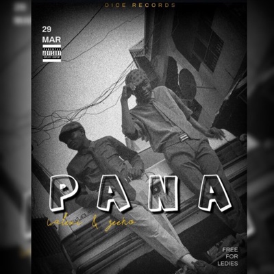 PANA (feat. Walexi & Zeeno) - Single