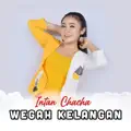 Wegah Kelangan