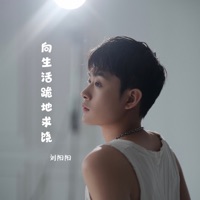 向生活跪地求饶 - Single - 刘阳阳