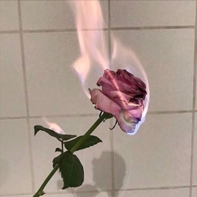 Roses On My Grave - Single