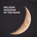 Shadows Of The Moon