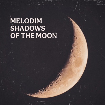 Shadows Of The Moon (Radio Edit) - Single