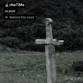 rawtime flip fauxf6r & ocelot