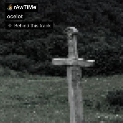 rawtime flip - Single