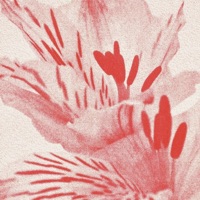 Mrs. Summer - Single - Snazzy