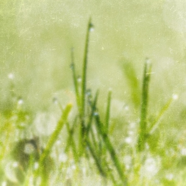 I Wish Rain Danced - Single