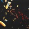 Blossom (Field Lines Cartographer Remix) - Will Gardner lyrics