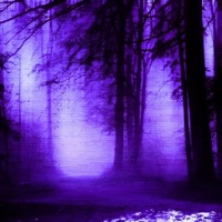 sunset - Single - Motxai & shinki21