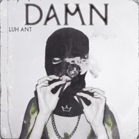 DAMN - Single - Luh Ant