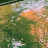 сон в цветущем саду - Single - нуура & летяга