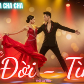 Album Nhạc Tình Hay Nhất Nghe Là Nhớ Cả Một Người Rumba Cha Cha Cha Cảm Xúc 2026