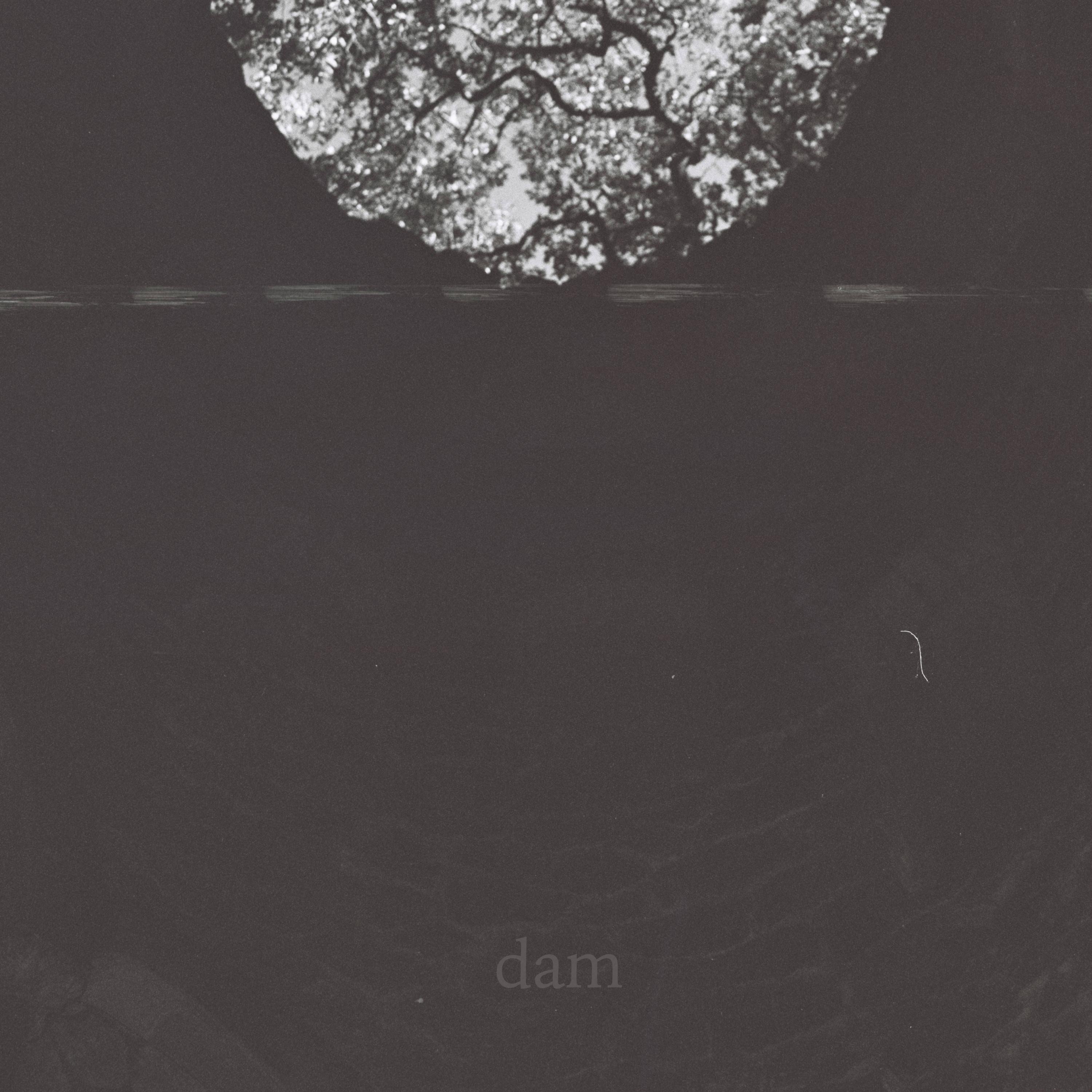 Dam - Single