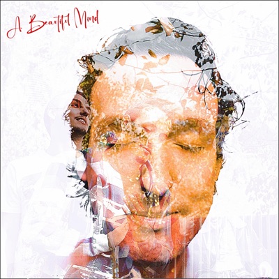 A Beautiful Mind