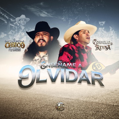 Enseñame A Olvidar (feat. Checo Velasquez) - Single