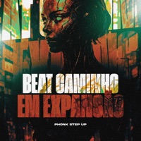 Beat Caminho em Expansão - Phonk Step Up - EP - Mc Delux, Mc Larissa & Dj Magro