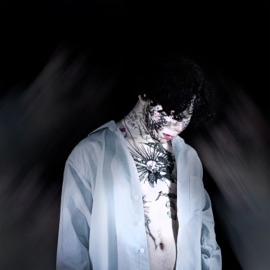 Минор Angelnocry