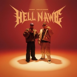 HELL NAWL (Instrumental) 2xMint & Mr. Confidential-Records