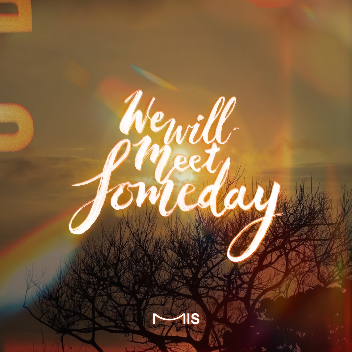 MIS - We Will Meet Someday - Single (2025) [iTunes Plus AAC M4A]-新房子