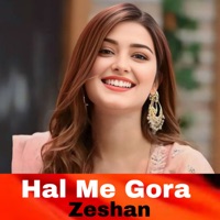 Hal Me Gora - Single - Zeshan