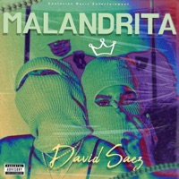 Malandrita - Single - David Saez