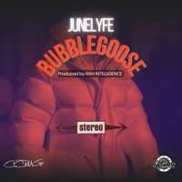 Bubblegoose - Single - JuneLyfe