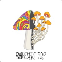 Psychedelic Trip - Single - J Radiant