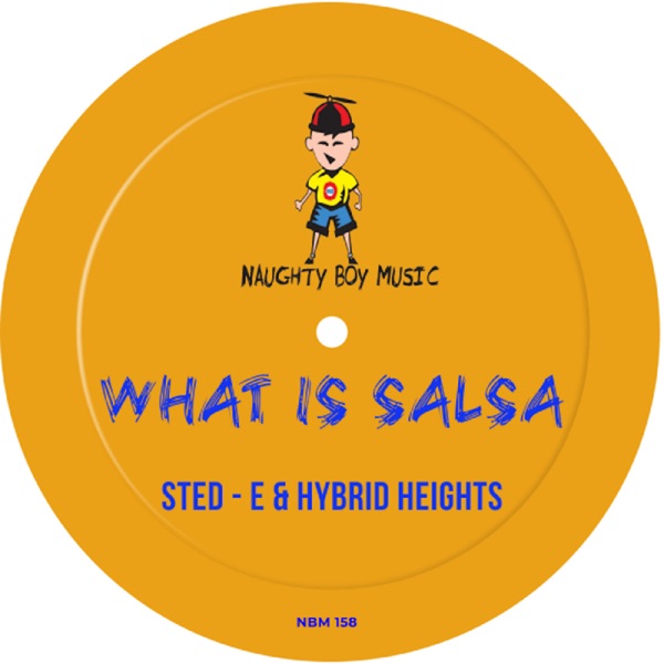What Is Salsa - Single