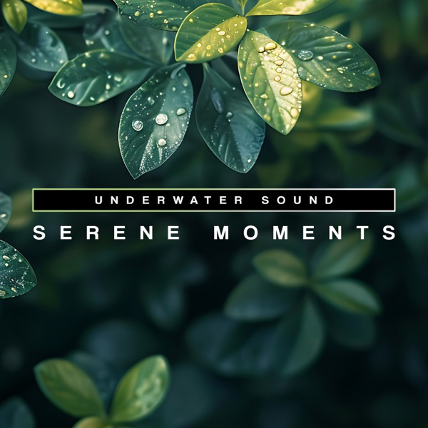 Serene Moments