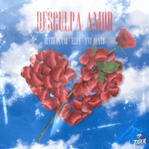 Desculpa amor