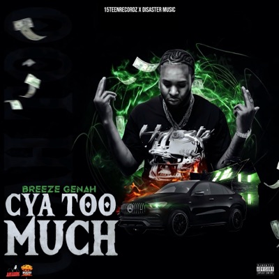 Cya Too Much - Single