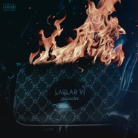 Larlar 6 (Sacoche) - Single - YL