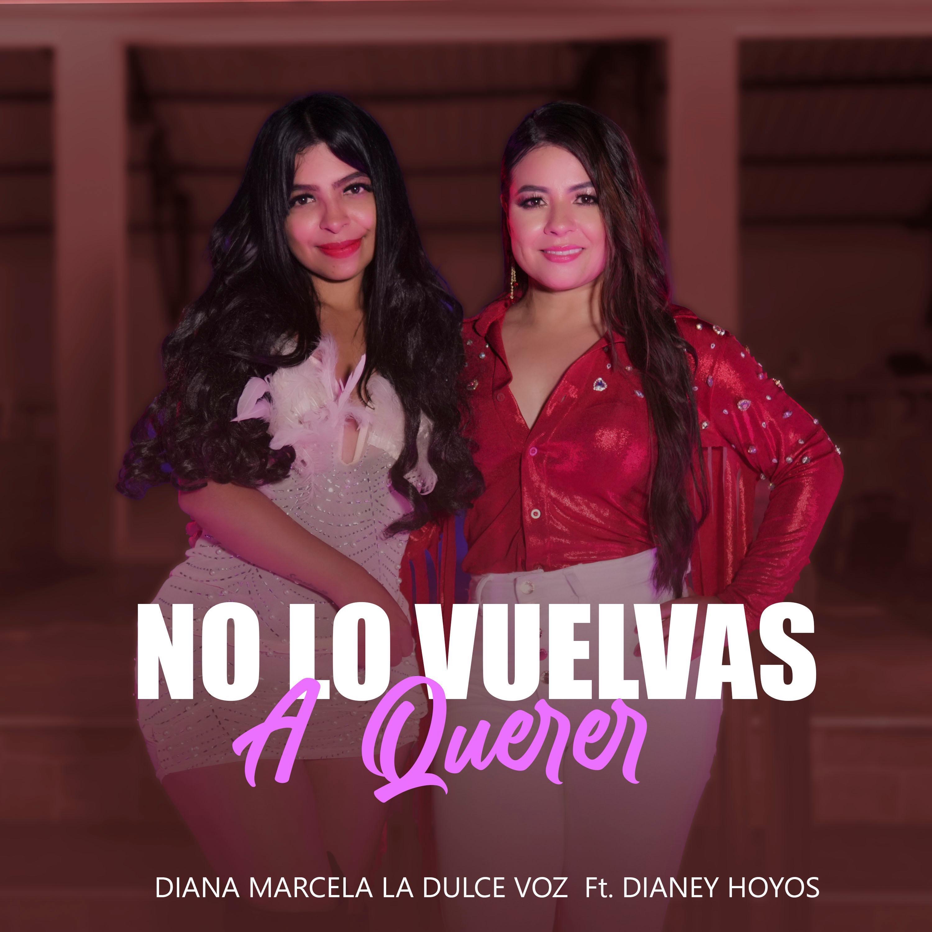 No Lo Vuelvas A Querer (feat. Dianey Hoyos) - Single