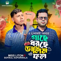 O Dulavai Amar Gache Dhorche Dalim Fol - Single - Miss Liton & Sofikul Kapor Wala