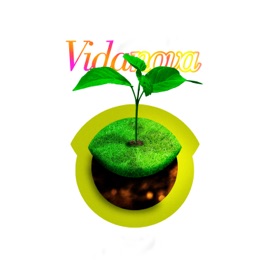Vida Nova TEU!