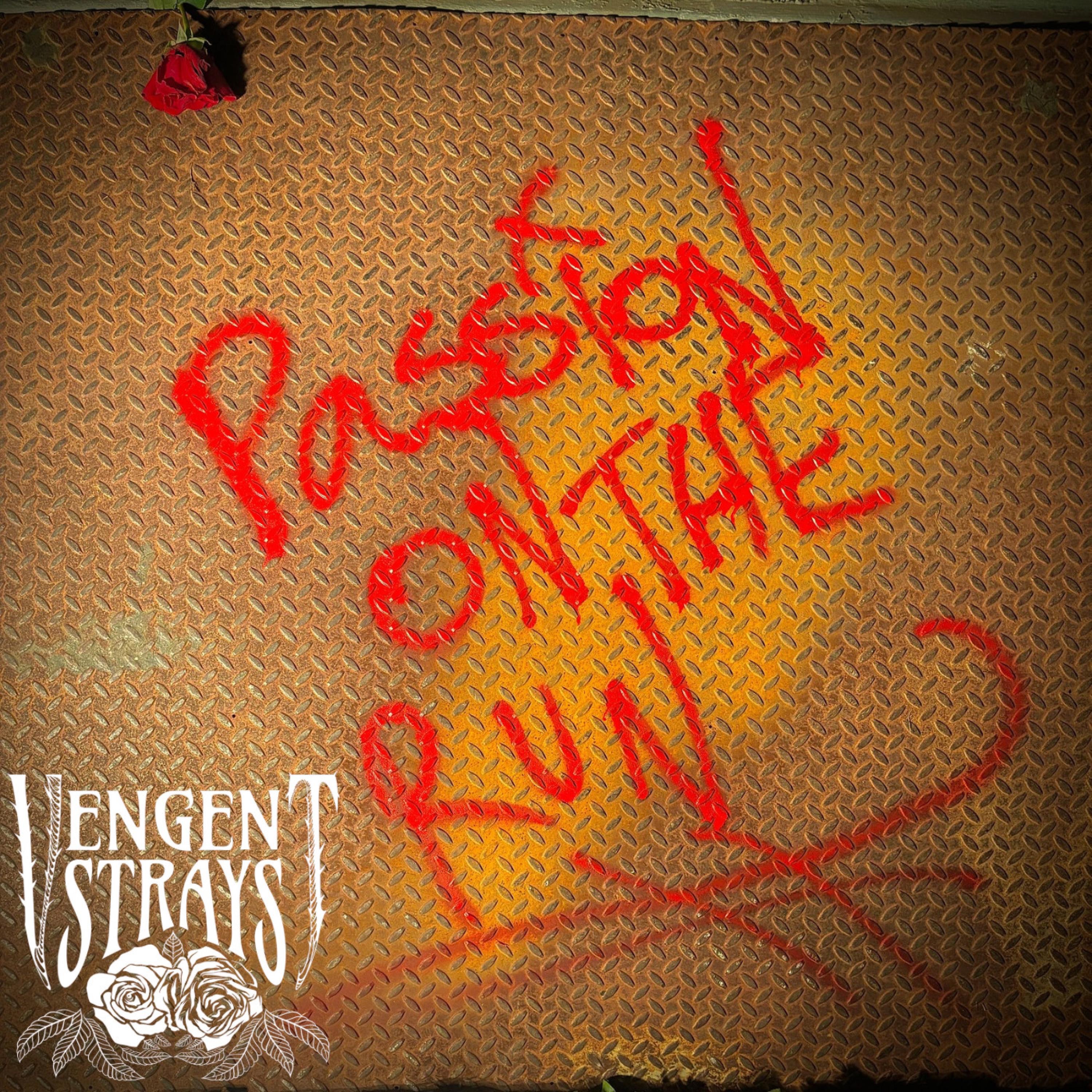 Vengent Strays - Passion on the Run