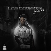 Los Codigos (feat. GUN GUN & Moncholo La Vainilla) - Single - You R