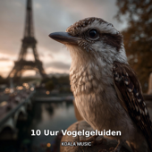 10 Uur Vogelgeluiden