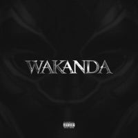 Wakanda (feat. superdupersultan) - Single - JANI