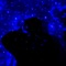 (Deposit) - melancholia blue lyrics