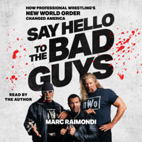 Say Hello to the Bad Guys (Unabridged) - Marc Raimondi Cover Art