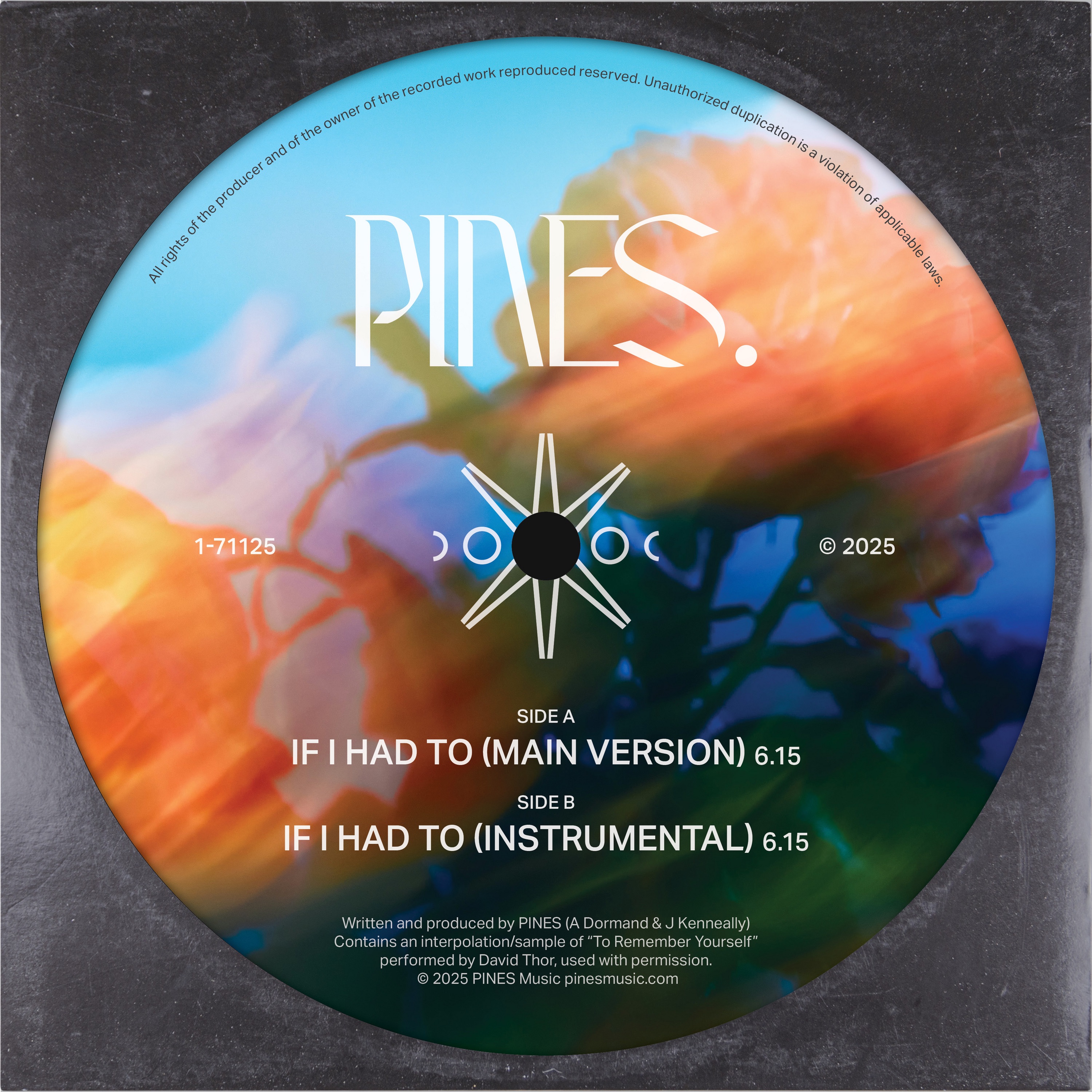 If I Had To - Single