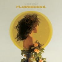 Florescerá - Single - Chico Brum