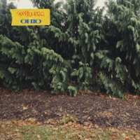 Somewhere in Ohio... (Remixes) - EP - will cherry