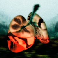 Jaga Nafas - Single - Teddy Adhitya & White Chorus