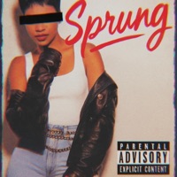 Sprung (feat. Spin Gen) - Single - Chillie Chief