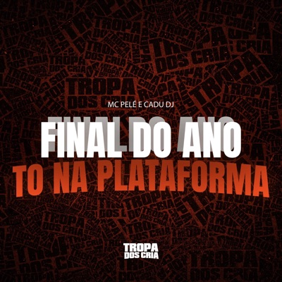Final do Ano To na Plataforma - Single