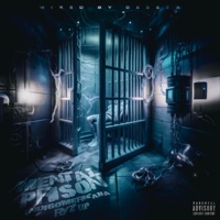 Mental prison (feat. Indigomerkaba) - Single - ryzup