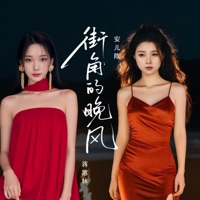 街角的晚风 - Single - 蒋蕙林 & 彭妃妃