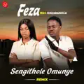 Sengithole Omunye