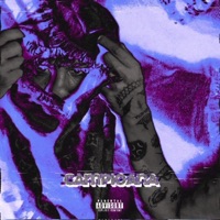 CAMPIOANA - Single - Kazyx